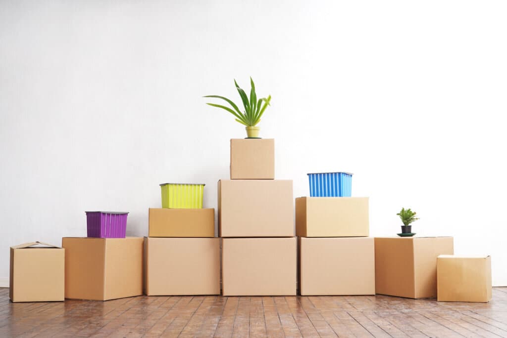 project detail photo